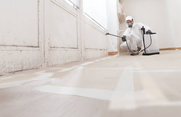 24/7 Emergency Commercial Mold Remediation experts in Lowell, MA
