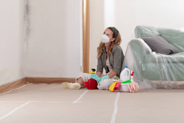 Reliable Commercial Mold Remediation contractor in Lowell, MA by Car Mold Remediation